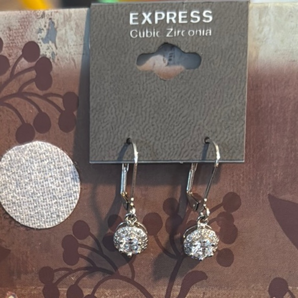Express Silver  Earrings